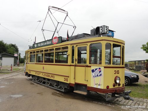 35613979286