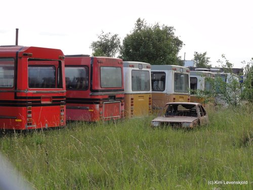 Leyland DAB buses in a private collectors yard