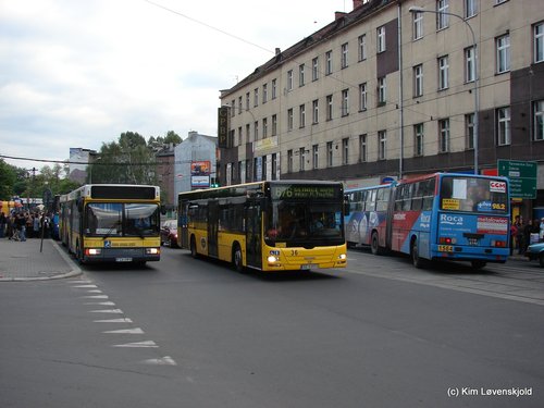 Neoplan-MAN-Ikarus