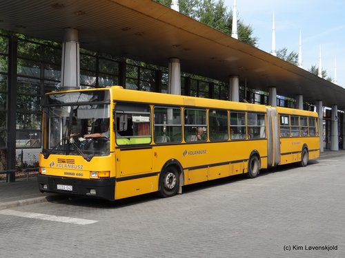 Ikarus 435