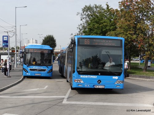 Volvo 7900A & Mercedes Conecto G