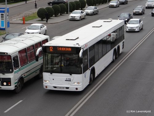 Scania GoLAZ 6228