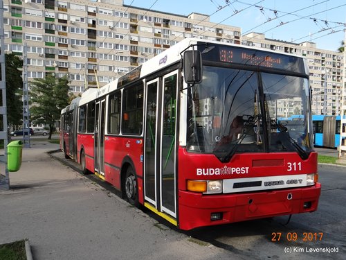 Ikarus 435T