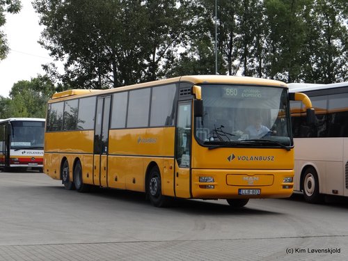 MAN ÜL363
