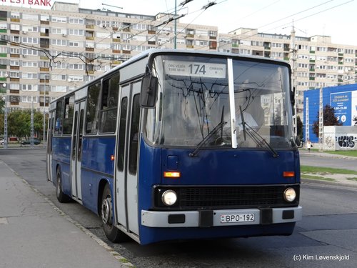 Ikarus 260