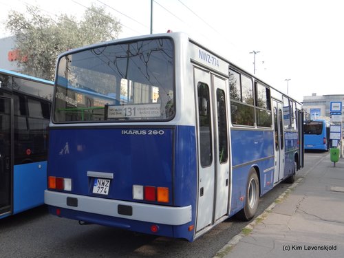 Ikarus 260