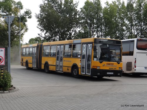 Ikarus 435