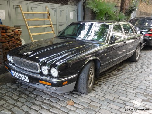 Jaguar