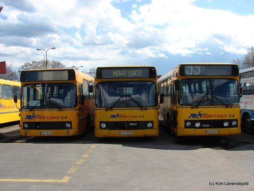 3 x Leyland DAB 7-1200B