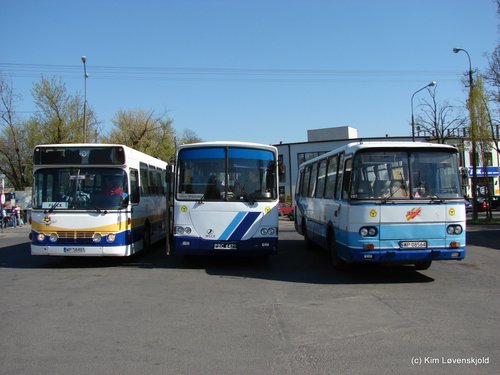 DAB-Jelcz-Autosan