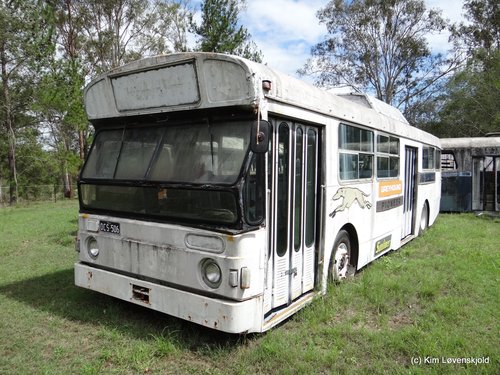 1978' Volvo B59-54 Domino-Hedges