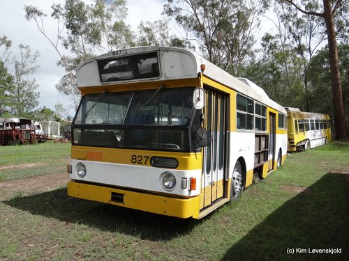 1978' Volvo B59-54 Domino-Hedges