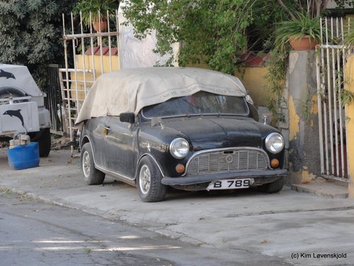 Mini
