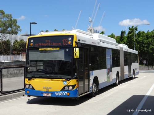 2008' MAN NG313 Custom Coaches CB60 Evo.II