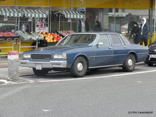 1979' Chevrolet Caprice