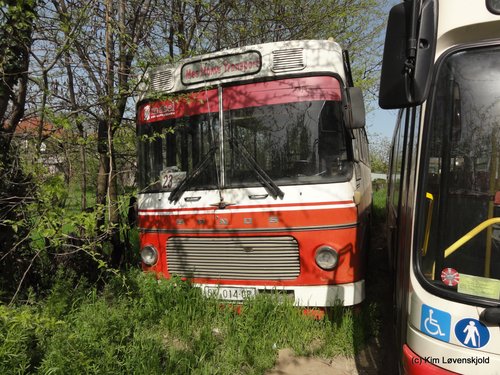 Sanos S115