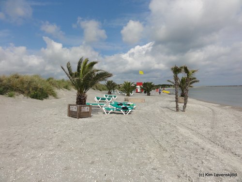 Frederikshavn Palm Beach, Denmark