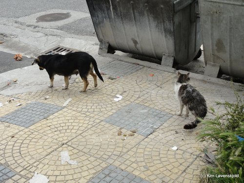 Shkoder, Albania