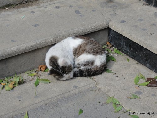 Baku, Azerbaijan