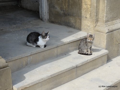 Baku, Azerbaijan