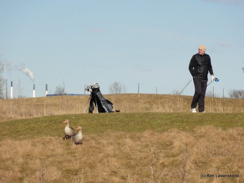 Ørestad, Copenhagen
