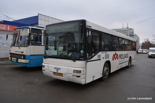 2006' MAN Lion's Classic
