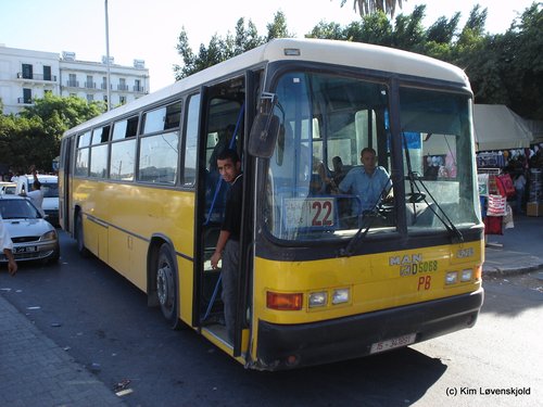 MAN Alpha Bus