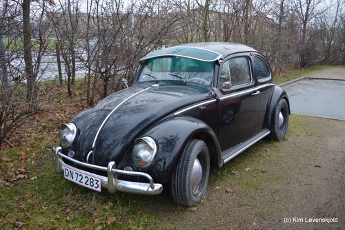 1964' VW 113 Beetle