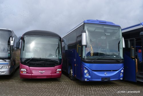MAN Lion's Regional & Irisbus Evadys