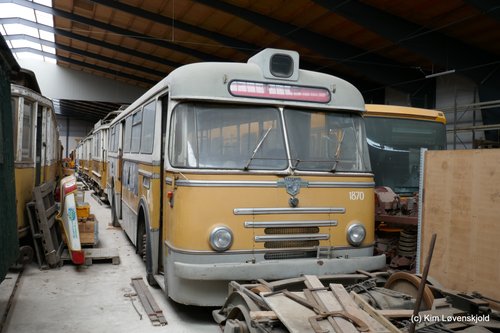 1958' Leyland Royal Tiger LCRT 1/1 DAB