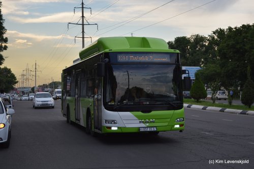 MAN Lion's City CNG - Auto-UZ