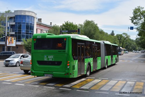 2018' LiAZ 6213