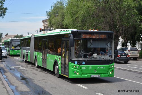 2017' LiAZ 6213
