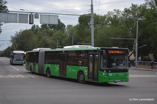 2018' LiAZ 6213
