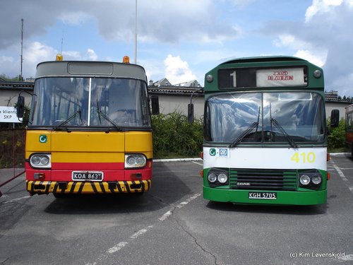 Autosan & Leyland DAB