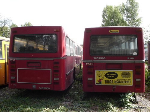 1985' Volvo B10M-60 Aabenraa & 1987' Volvo B10M-60 DAB