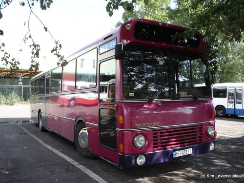 1981' Volvo B10M-60 Aabenraa