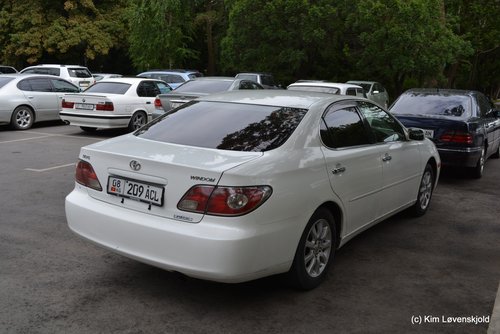 Toyota Windom