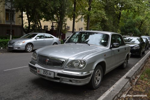 Volga 3110