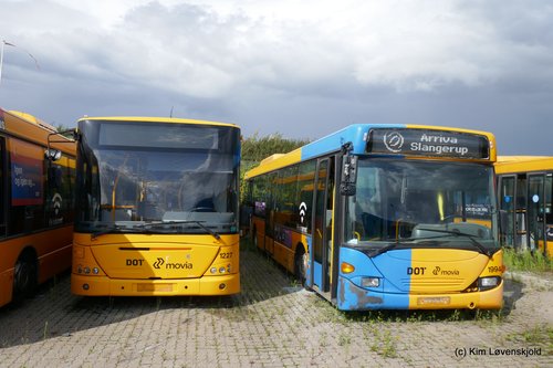 2005' DAF SB4000 VDL Jonckheere Transit & 2004' Scania CL94UB OmniLink
