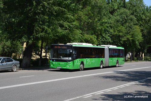 2017' LiAZ 6213