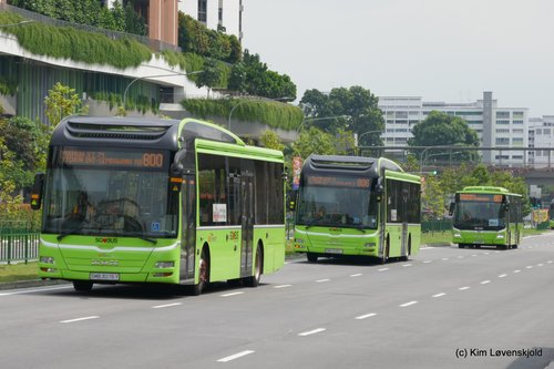 MAN Lions City Hybrid
