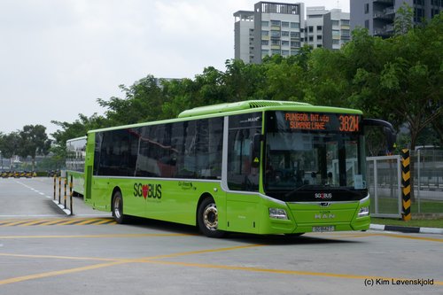 MAN Lion's City Gemilang