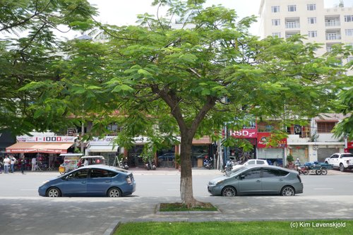 Toyota Prius is all over Phnom Penh