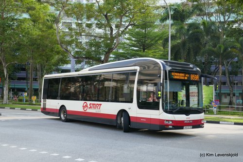 MAN Lion's City Hybrid Gemilang