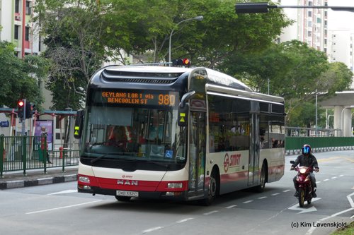 MAN Lion's City Hybrid Gemilang