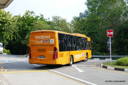 Volvo B8RLE Liannex