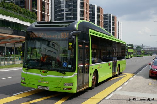 MAN Lion's City Hybrid Gemilang