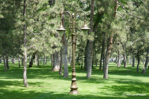 Tashkent