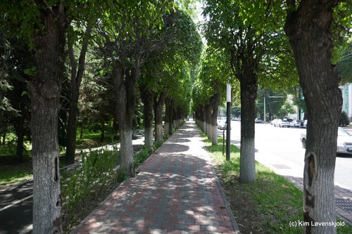 Almaty